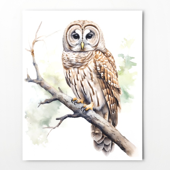 Watercolor Barred Owl Portrait Wall Art Illustration Print Poster Unframed - Picture 7 of 7